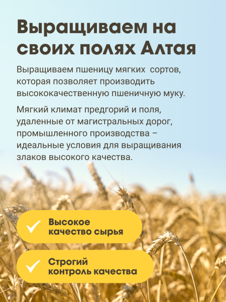 Гудвилл Мука пшеничная в/с 10кг